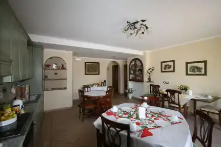 Rosa di Assisi - 9