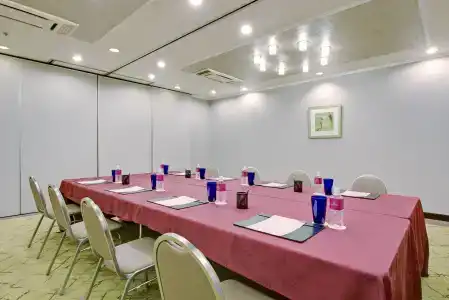 Ana Crowne Plaza Hiroshima, An Ihg - 29