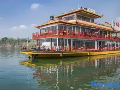 Chongqing Wenyue - 0