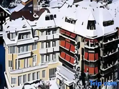 & Spa Silberhorn Wengen - 131
