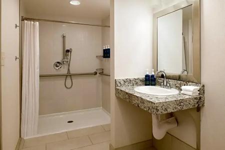 Four Points by Sheraton & Conference Center - 49