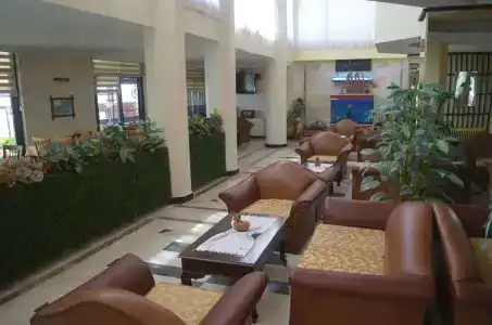 Palmera - 26
