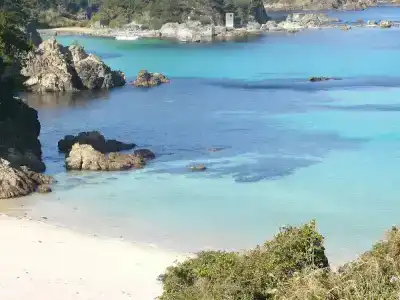 Shimoda Ocean Park - 38