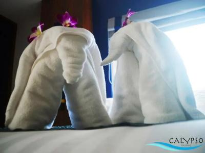 Calypso Patong - 110