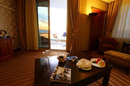 EmexOtel Kocaeli - 3