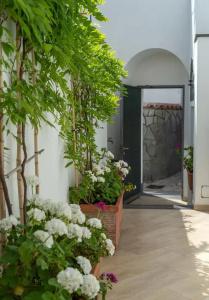 Capri Dreaming - 9