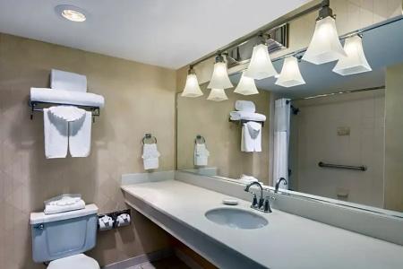 Wyndham Garden Dallas North - 38