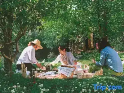 Adonis Inn - 7