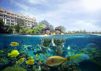 Resorts World Sentosa - Festive (Sg Clean) - 22