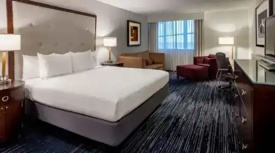Hyatt Regency Houston Intercontinental Airport - 37