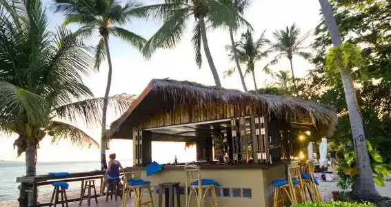 Phangan Beach Resort - 16