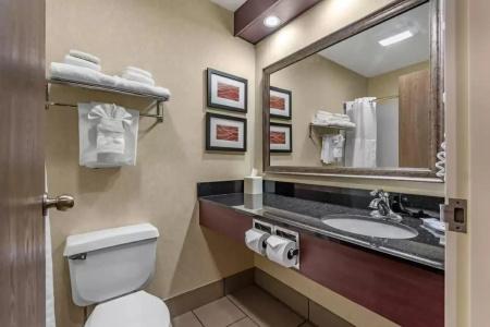 Comfort Inn Civic Center - 7