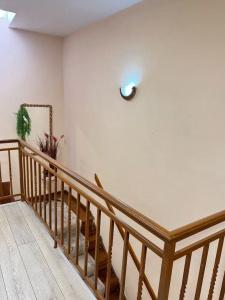 Shkodra Hostel - 28