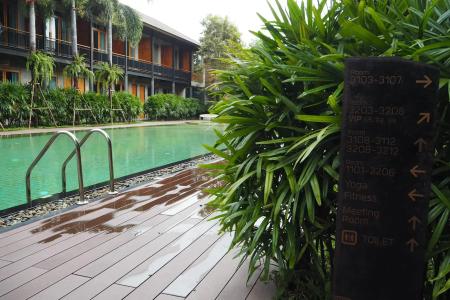 The Buffalo Amphawa - 28