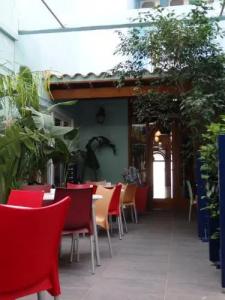Parrots Sitges - 25