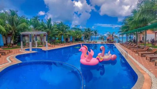 Orange Resort - 204