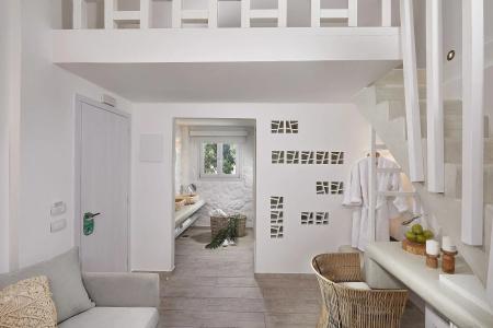Petri Suites - 50
