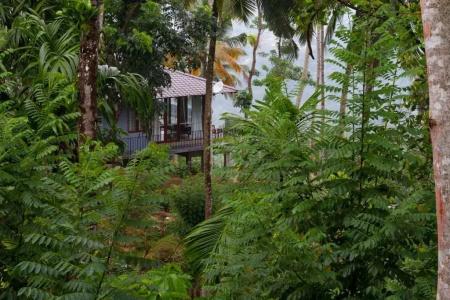 Aarunya Nature Resort and Spa - 100