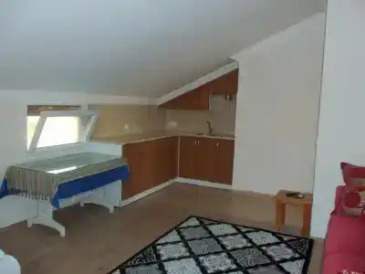 Cam - 100
