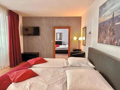 Hayk Altstadt& Appartements - 95