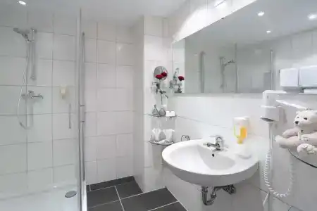 Best Western Rosenau - 39