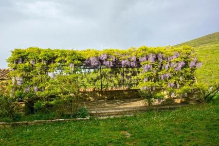 Borgo Solamore - 6