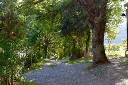 Poggio Al Vento - 46
