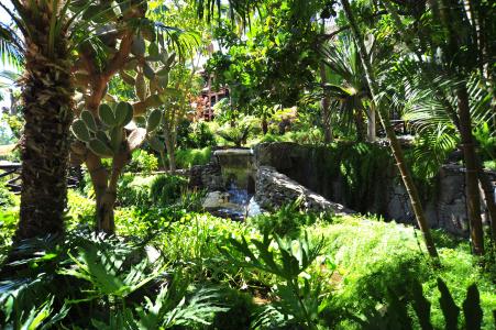 Parque Tropical - 19