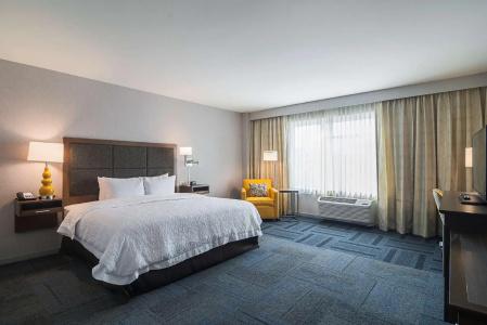 Hampton Inn Chicago North-Loyola Station, Il - 74