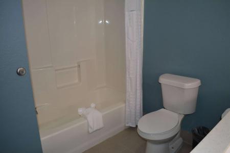 Microtel Inn & Suites by Wyndham College Station - 7