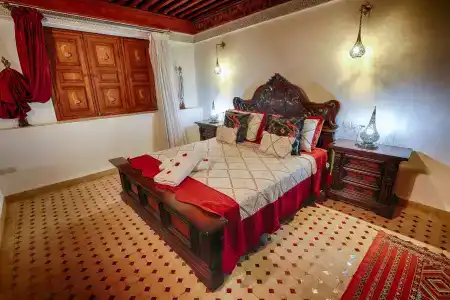 Riad Toyour- Riad of birds - 4