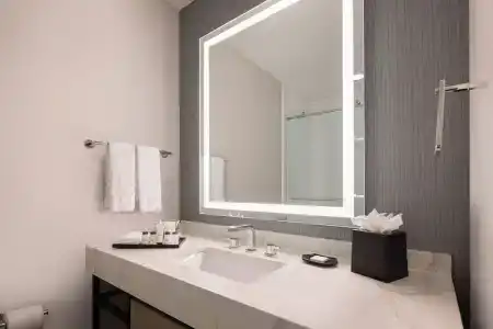 Sheraton Orlando North - 82