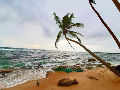 Akurala Beach Boutique Resort - 5