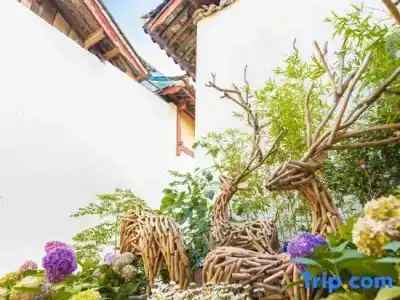 Yonsamity Chain Inn Yunqing Branch - 36