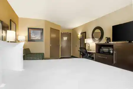Best Western Plus Palms - 66