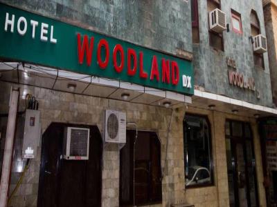 Woodland Deluxe - 30