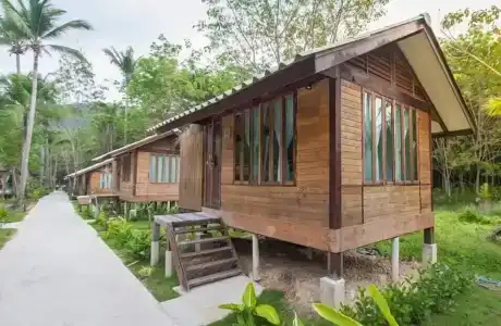 Jungle Koh - 61