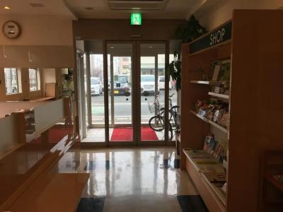 Saga Idaimae Green - 8