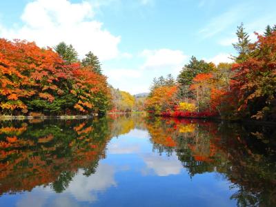 Le Grand Kyu Karuizawa - 23