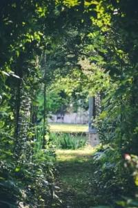 La Gallina Felice b&b - 5