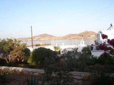 Despina's Mare - 61
