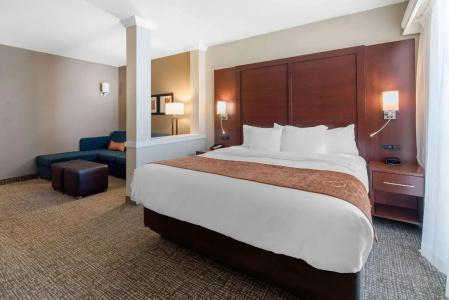 Comfort Suites Denver International Airport - 29