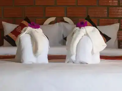 Casacool - 24