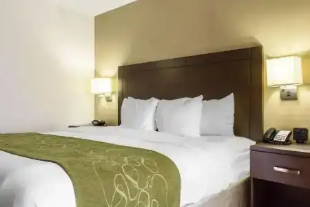 Comfort Suites at Tucson Mall - 44