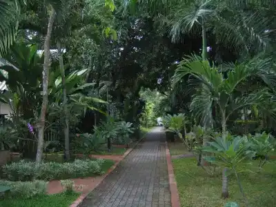 Pattaya Garden - 23
