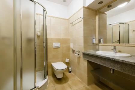 Dziki Potok Konferencje Grill & Prestige Spa - 25