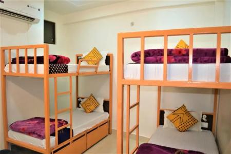 Bedweiser Backpackers - 25