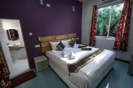 Lilac Stay Rasdhoo - 4