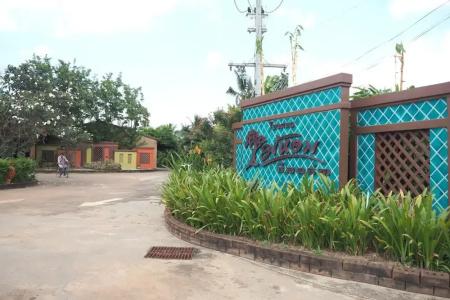 Maihom 304 - 8
