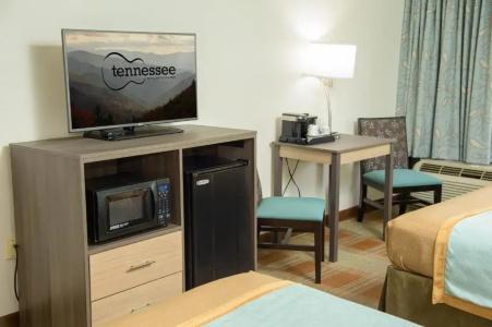 Pigeon River Inn - 87